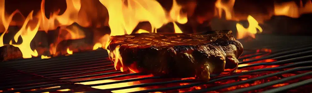 BBQ catering Benschop 2 BBQ catering Benschop bestellen